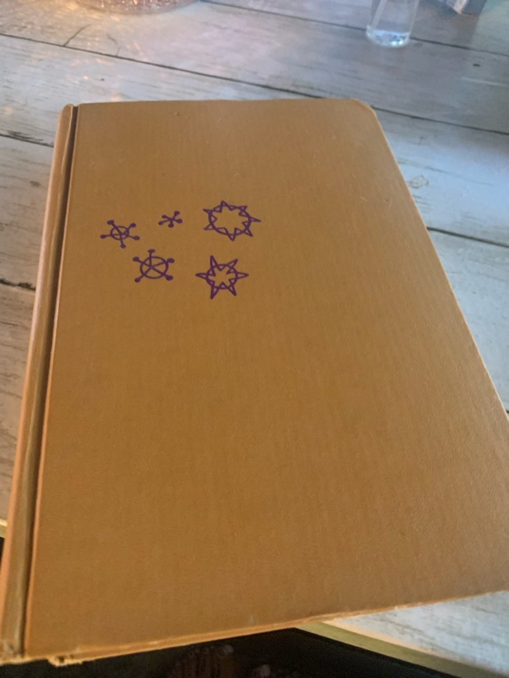 Sun Signs astrology book